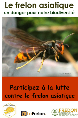Arch�ologie Luxovienne
