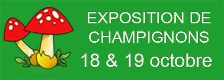 Exposition mycologique