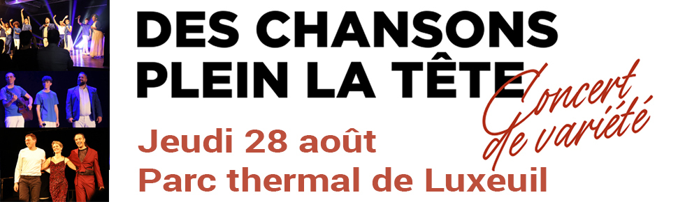 Des chansons plein la tête