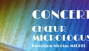 Le chœur Micrologus
